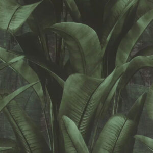 Back to nature -  416237