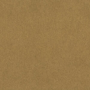 Papier Peint - African Queen III - 751031