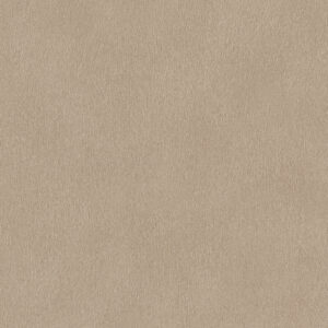 Papier Peint - African Queen III - 751055