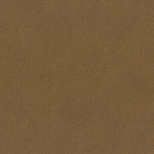 Papier Peint - African Queen III - 751079