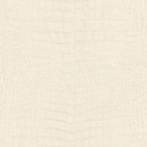 Papier Peint - African Queen III - 751321