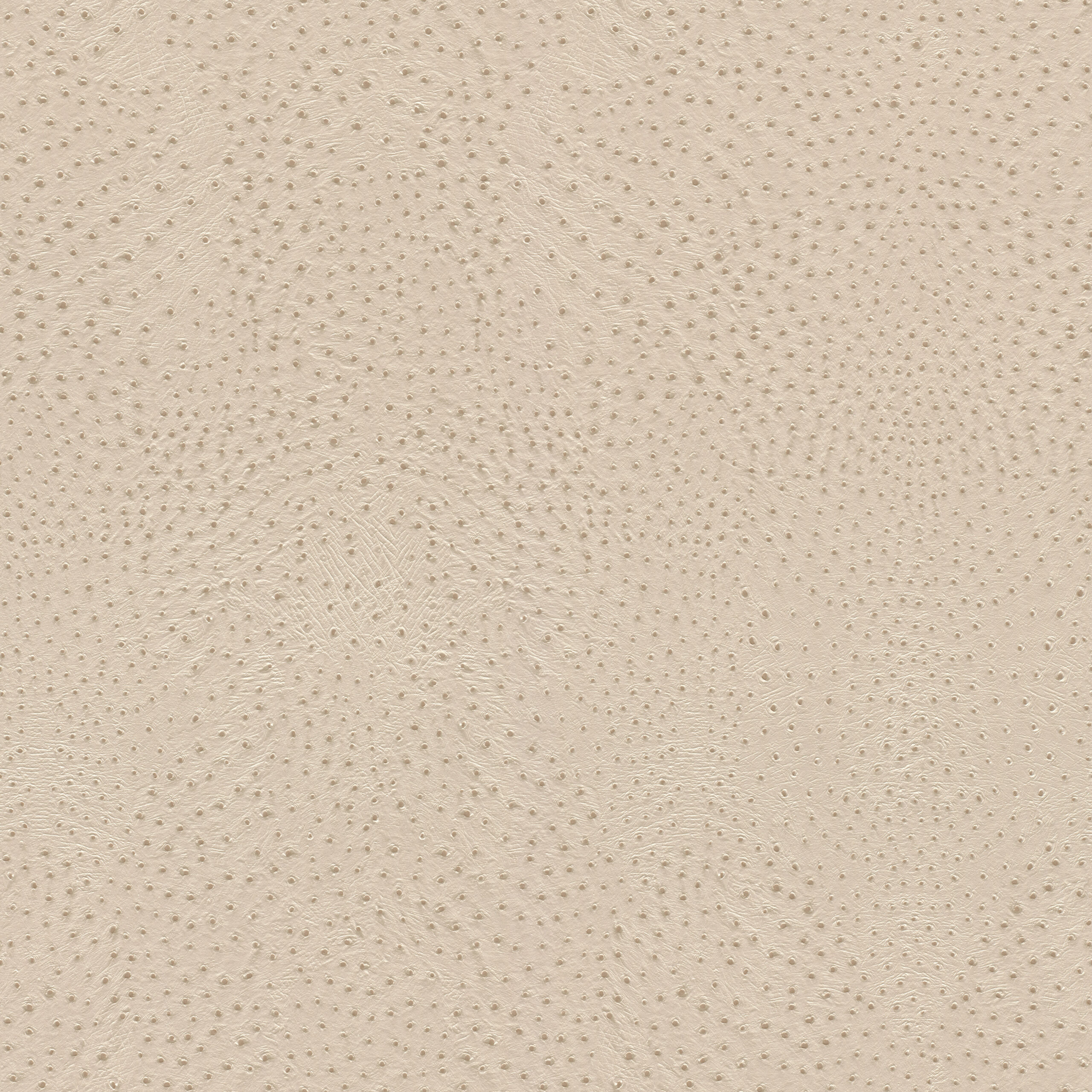 Papier Peint - African Queen III - 751512