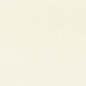 Papier Peint - African Queen III - 752632