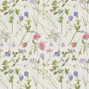 House of Turnowsky - 388012