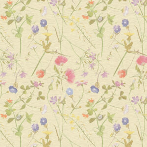 House of Turnowsky - 388013